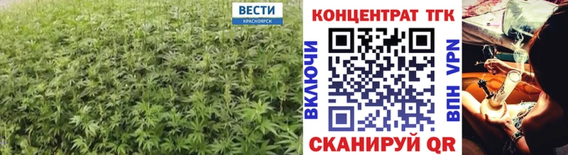 Купить где  Северобайкальск  ТГК гашишное масло 