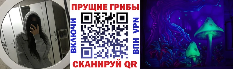 Купить закладки  Северобайкальск  Галлюциногенные грибы ЛСД 